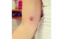 tatuagem de pets
