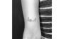 tatuagem de pets