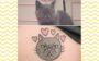 tatuagem de pets