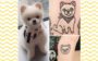 tatuagem de pets