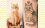 tatuagem de pets