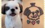 tatuagem de pets