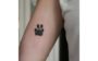 tatuagem de pets