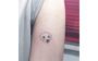 tatuagem de pets