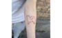 tatuagem de pets