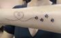 tatuagem de pets