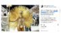 carnaval no instagram