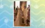 O casamento de Whindersson Nunes com Luísa Sonza: noivos no altar