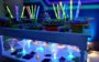 Festa de 15 anos neon: ideias para copiar já