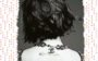 Revelações de Lily Collins no livro "Sem Filtros"