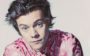 tudo sobre Harry Styles