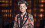 tudo sobre Harry Styles