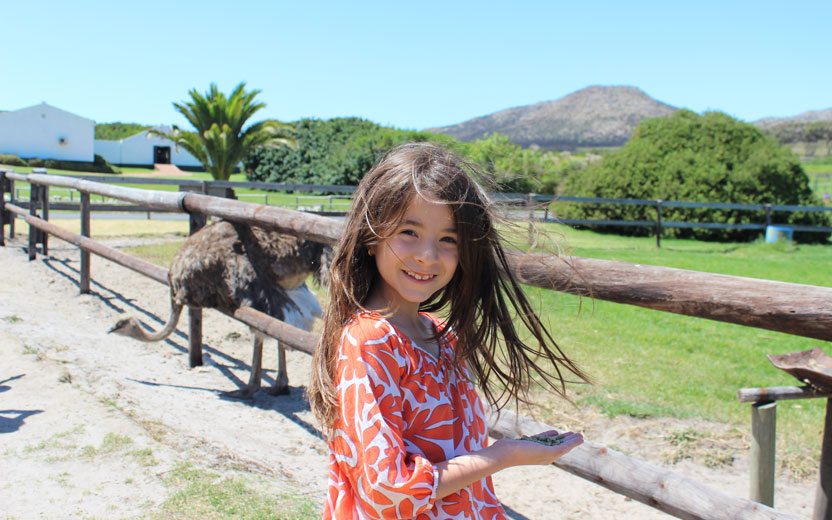 Safari da Ivana