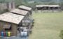 a fazenda 10