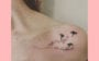 tatuagem no ombro