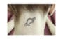 tatuagens na nuca