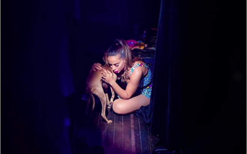 cachorro da Anitta