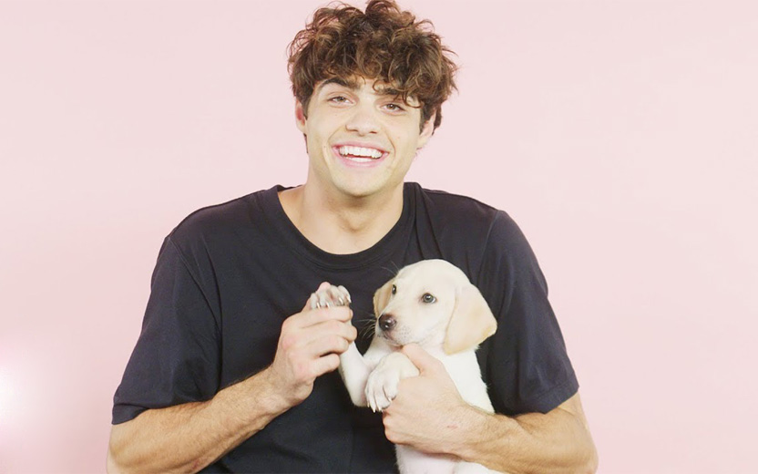 personagem do Noah Centineo