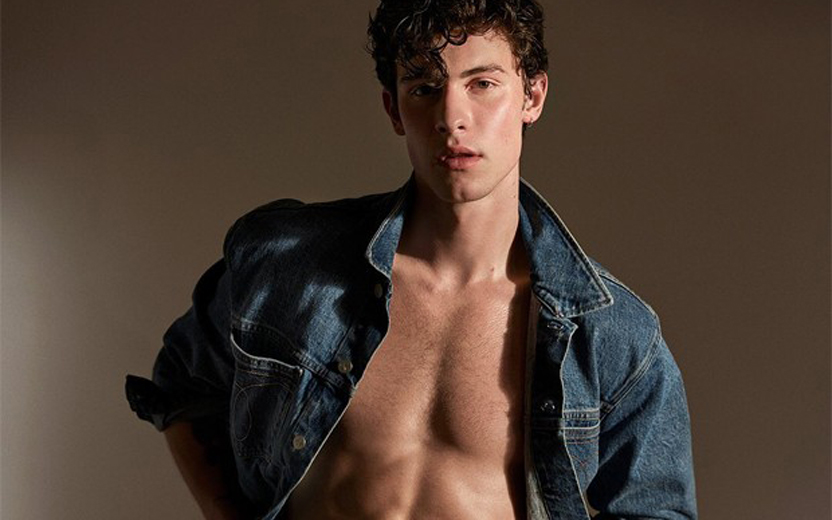 shawn mendes de cueca
