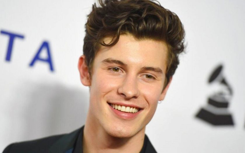twitter do shawn mendes