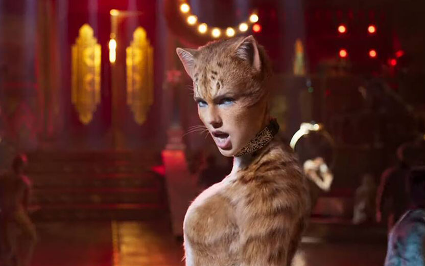 cats