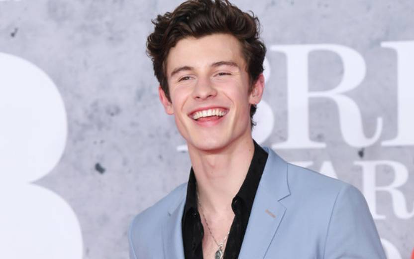 ansiedade de shawn mendes