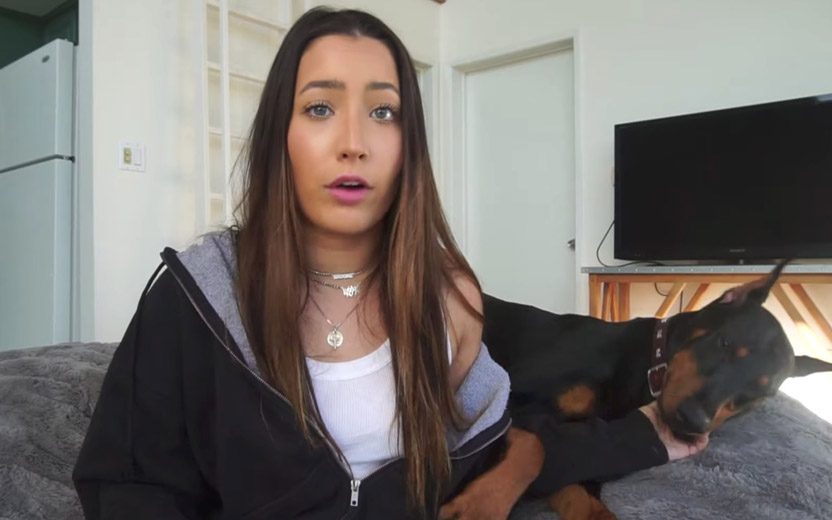 cachorro de brooke houts