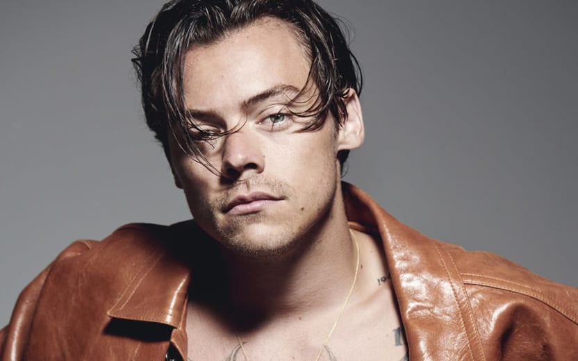 sexualidade de harry styles