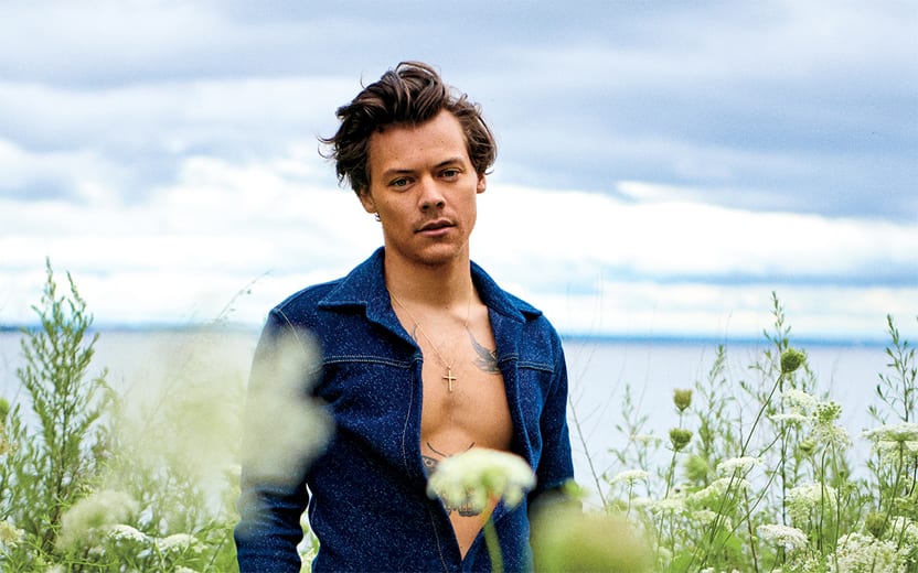 cabelo do Harry Styles