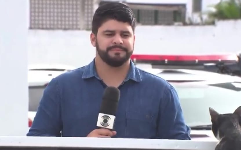 gato atrapalha gravação