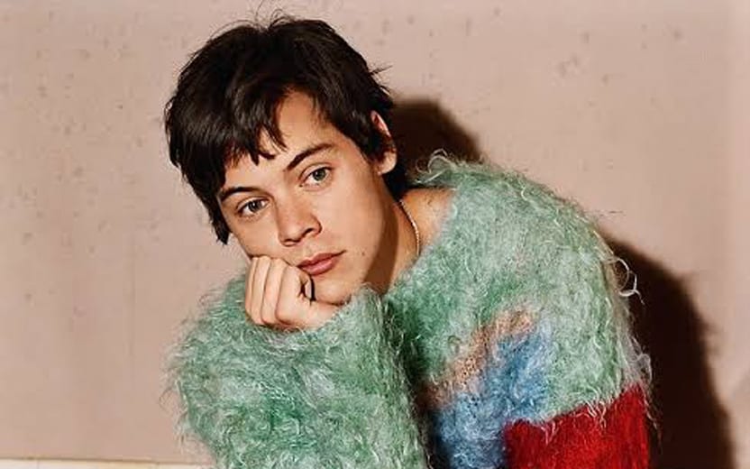 Harry Styles no Brasil em 2020