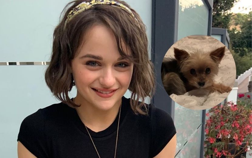 Joey King fala sobre companhia de pet na quarentena: "Ela está feliz por eu estar em casa o tempo todo"