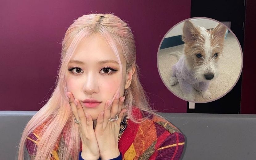 Cachorro de Rosé, do BLACKPINK, ganha perfil super fofo no Instagram!