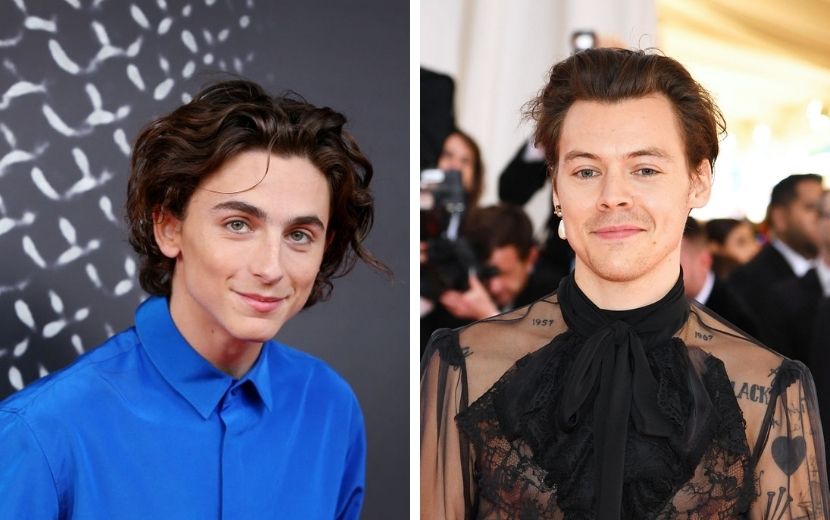 Timothée Chalamet faz imitação hilária de Harry Styles durante programa; vem ver