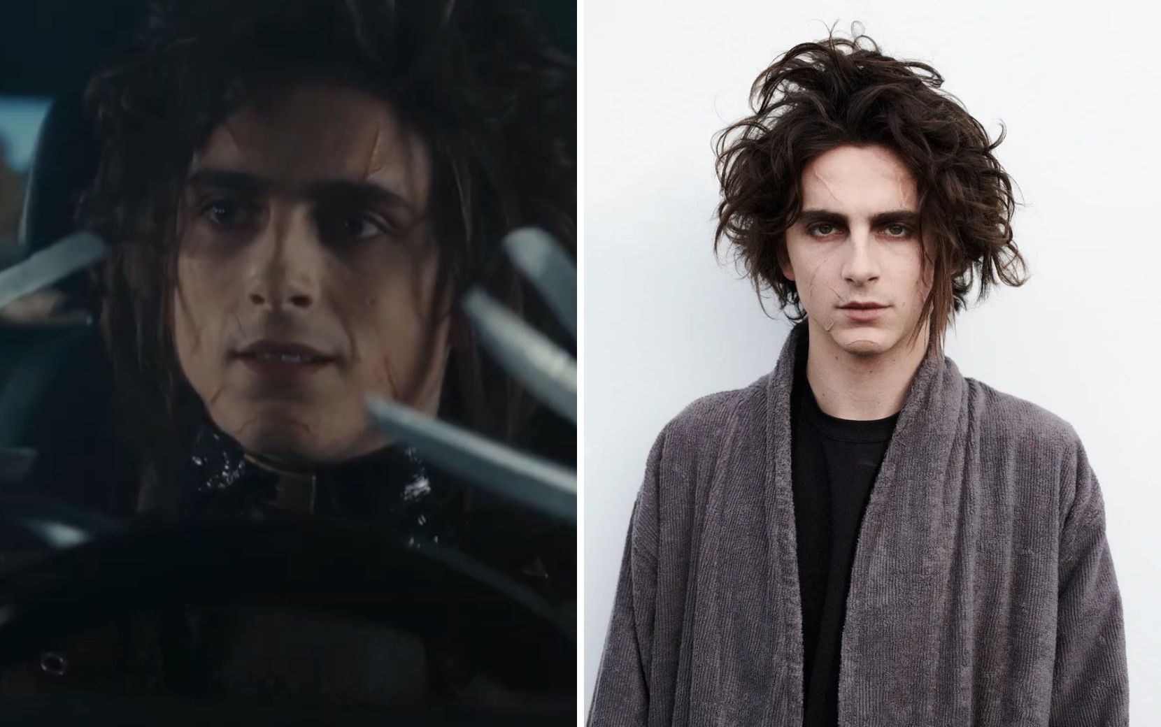 Timothée Chalamet aparece como Edward Mãos de Tesoura em novo comercial da Cadillac - veja as fotos!