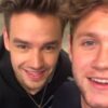 Liam Payne e Niall Horan interagem nas redes e fãs comemoram