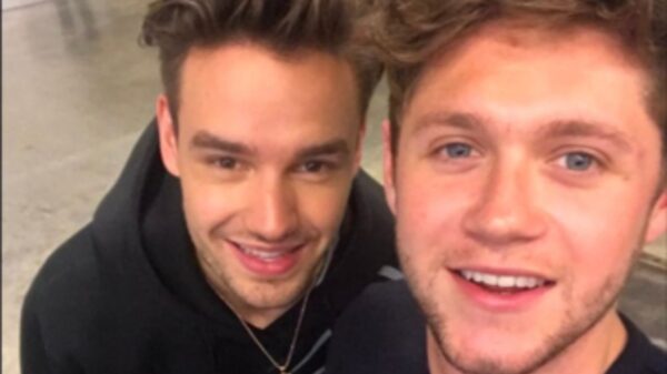 Liam Payne e Niall Horan interagem nas redes e fãs comemoram