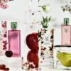 Ciclo lança body splashes com Kéfera e leva vibes perfumadas para a Beauty Fair 2025